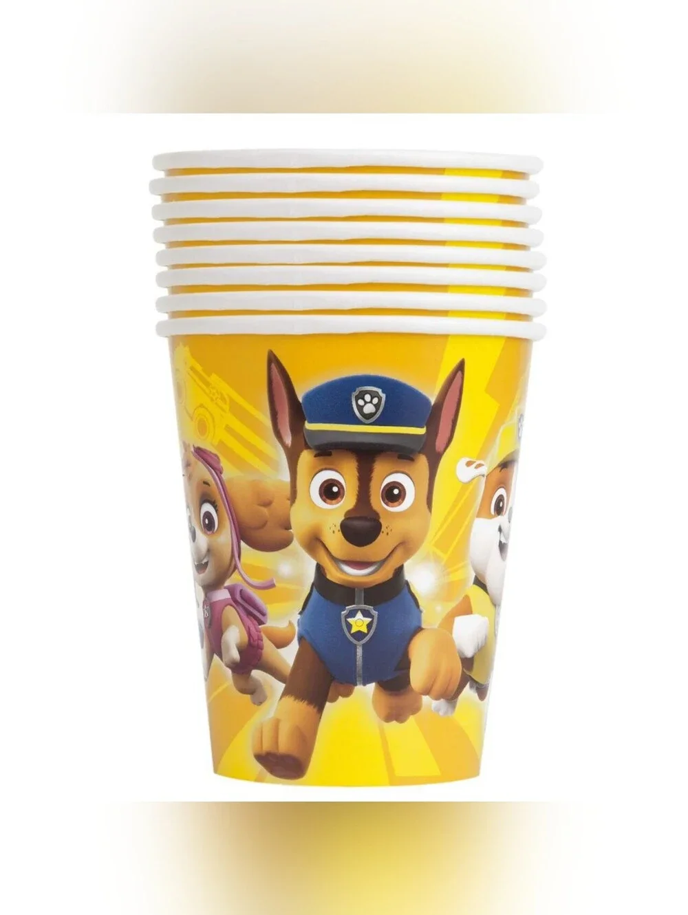 Paw Patrol Party Box!